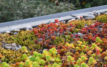 the cost of Ashmore Park green roof installation